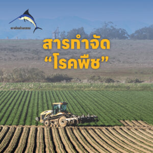 สารป้องกันและกำจัดโรคพืช