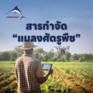 สารกำจัดแมลง